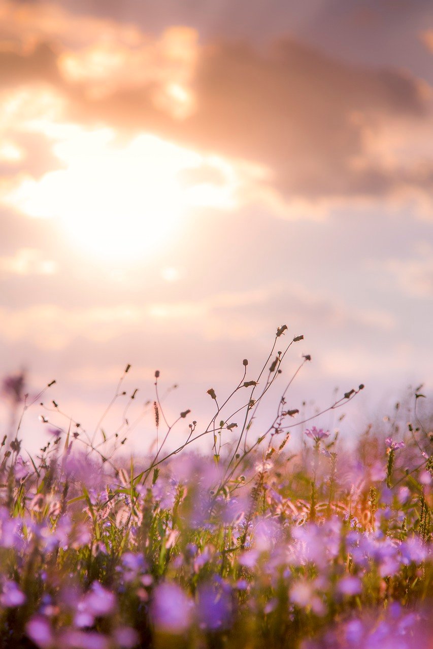 ot lifestyle movement ot lifestyle movement