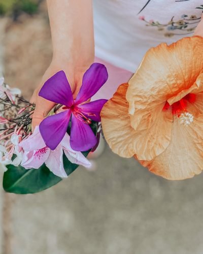 occupational therapy therapeutic relationship