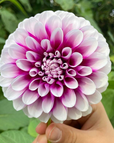 heart and soul occupational therapy poem rhiannon crispe